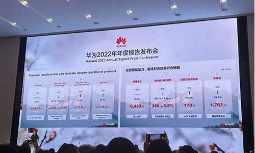 华为2023年即将上市新款手机_华为20